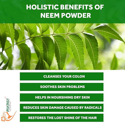 Neem Powder | Wild Crafted | Support Skin Health & Hair Growth | 100% Pure Neem Leaf Powder | Azadirachta Indica (200g)