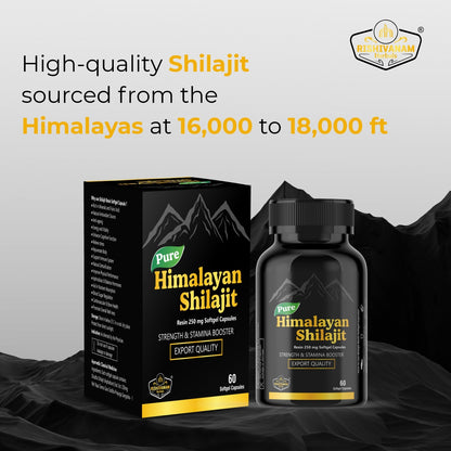 Rishivanam Herbals Shilajit – 100% Pure Himalayan Shilajit | 60 Capsules for Stamina, Energy & Healthy Testosterone Levels