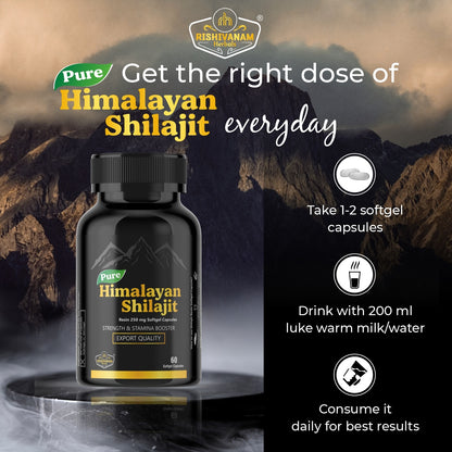 Rishivanam Herbals Shilajit – 100% Pure Himalayan Shilajit | 60 Capsules for Stamina, Energy & Healthy Testosterone Levels